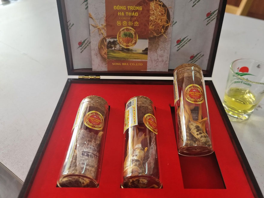 Sản phẩm đông trùng hạ thảo nhộng sấy khô của Dalat Newfarm
