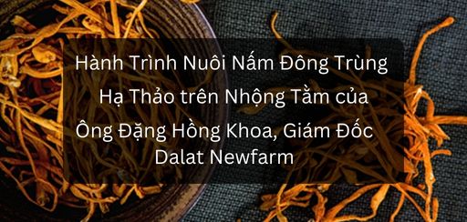 hanh trinh nuoi nam dong trung ha thao