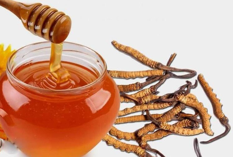Dùng đông trùng hạ thảo ngâm mật ong thường xuyên được không